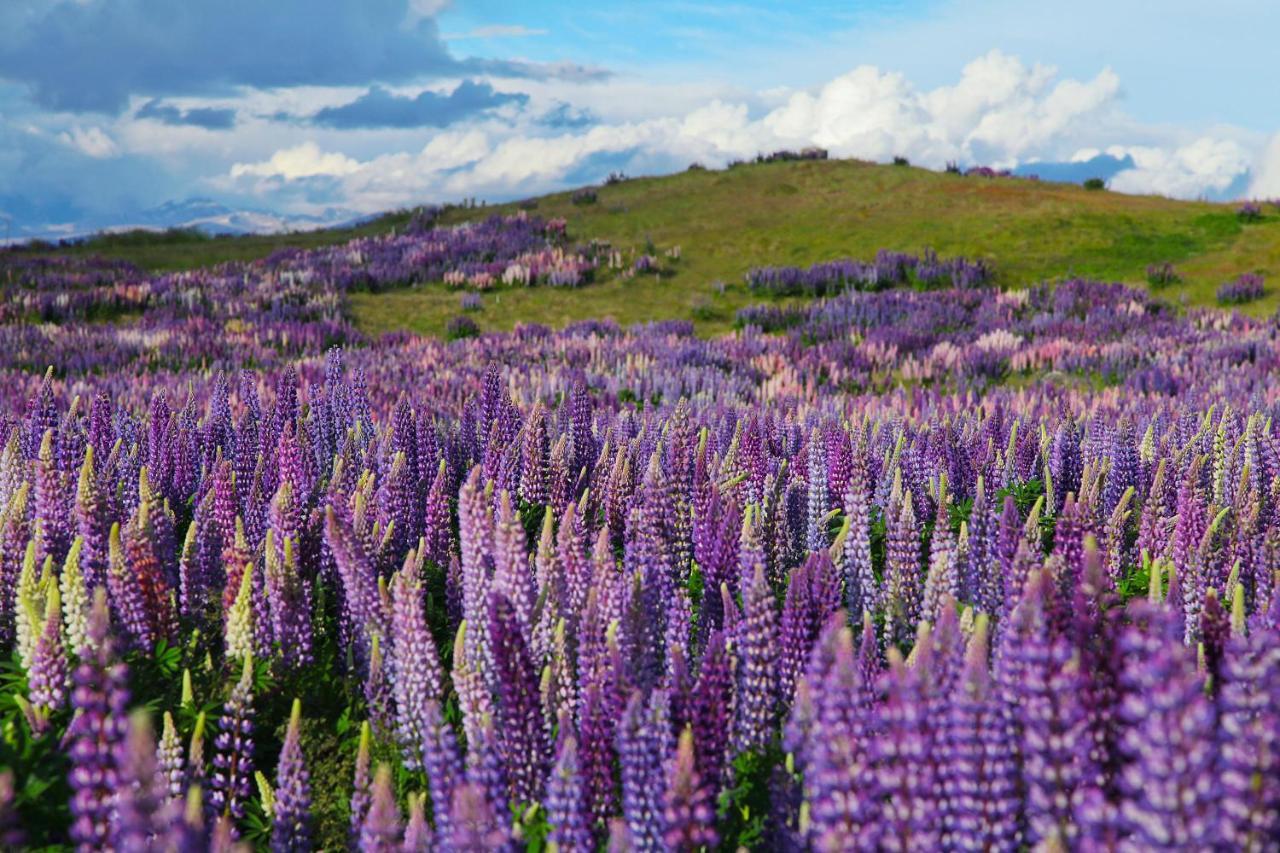 Peppers Bluewater Resort Lake Tekapo Εξωτερικό φωτογραφία